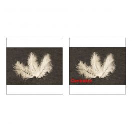 Lot De 300 Plumes Décoratives Noires 8-12 Cm - Plumes Naturelles Pour DIY, Mariage, Costumes, Décoration - 4