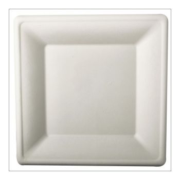 Assiette canne carrée Blanche x12