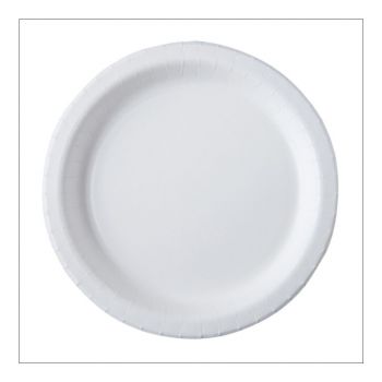 Assiette cartonnée biodégradable x20