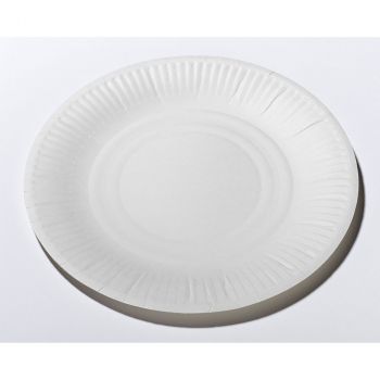 Assiettes carton blanc x100