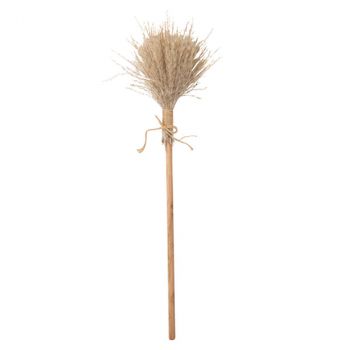 BALAI DE PLUMEAUX POMPONS