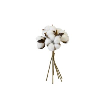 Bouquet fleurs de coton x6