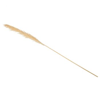 Branche pampa naturel 1.60m