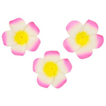 Fleur de monoi rose adhesive x6