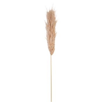 LA TIGE DE PAMPA GARNIE MARJORET NATURELLE