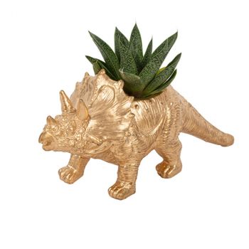 LE VASE TRICERATOPS