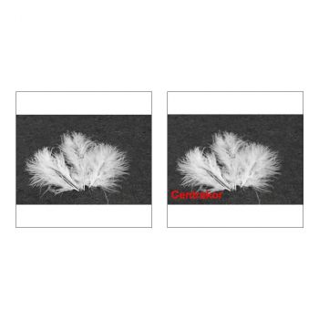 Lot de 20 plumes décoratives blanc 10cm