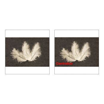 Lot de 20 plumes décoratives ivoire 10cm