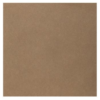 Serviettes voie sèche kraft x25