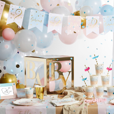 Baby shower & Gender reveal